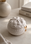 Seashell storage pot for jewellery cotton pads and keepsakes